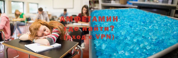 амф Тайга