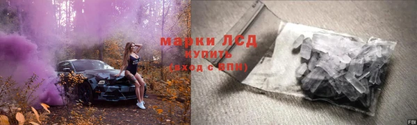 ГАЛЛЮЦИНОГЕННЫЕ ГРИБЫ Балабаново