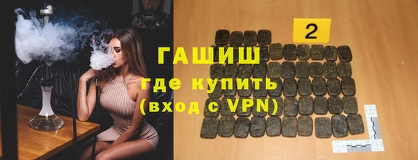 амф Тайга