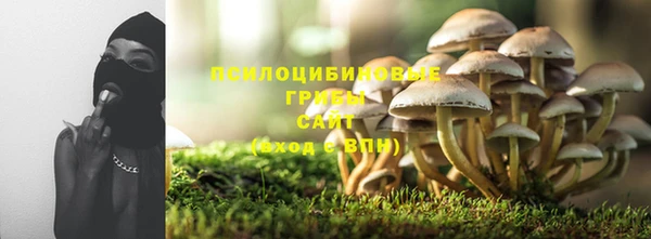 твердый Белокуриха
