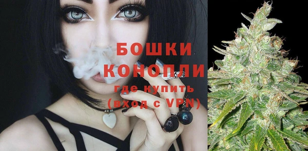 ПСИЛОЦИБИНОВЫЕ ГРИБЫ Беломорск