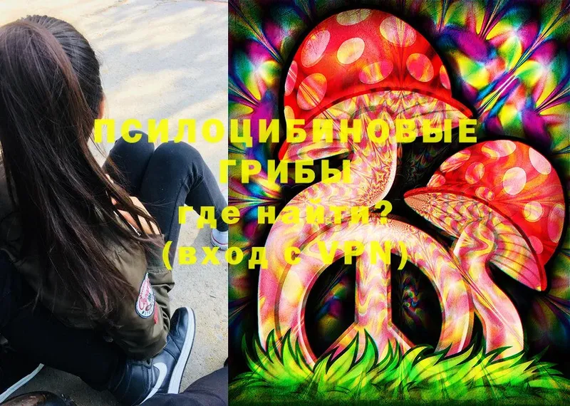 Галлюциногенные грибы Magic Shrooms  Гудермес 