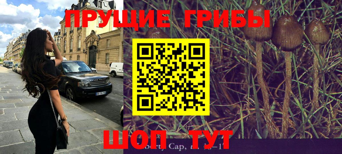 Галлюциногенные грибы мухоморы Гудермес