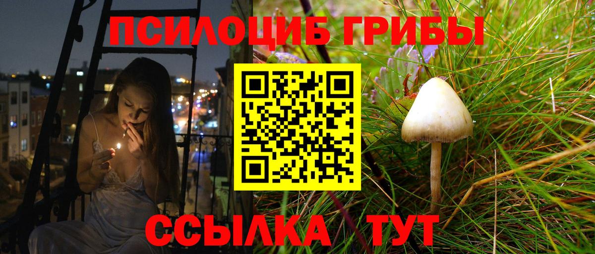 Псилоцибиновые грибы мухоморы Гудермес