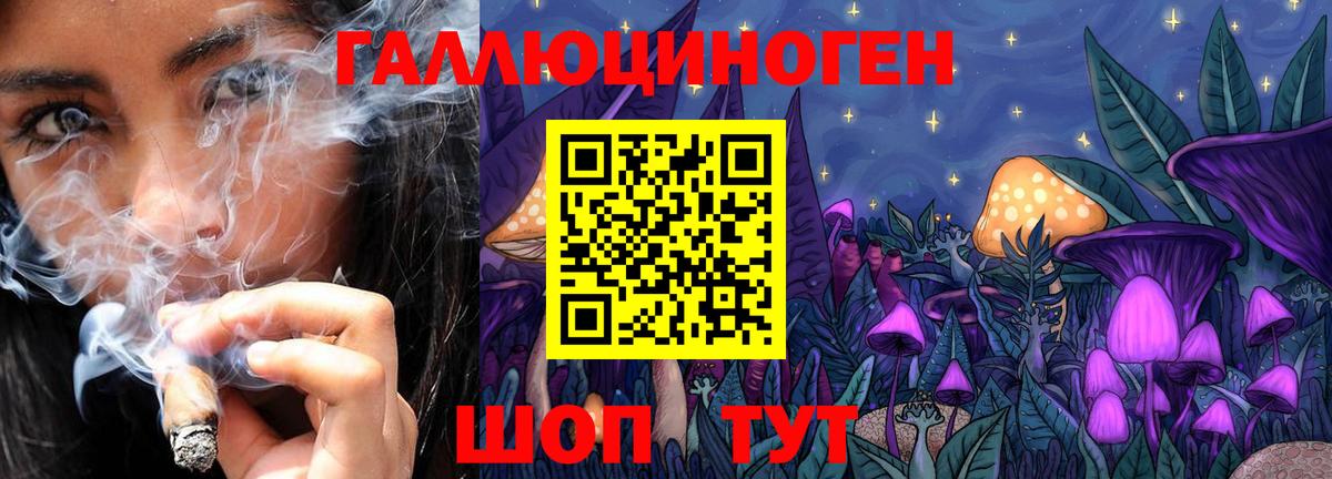 Гудермес  Галлюциногенные грибы мухоморы  Вход с VPN  Псилоцибиновые грибы ЛСД 