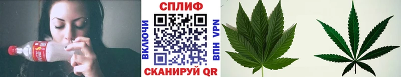 МЕГА ONION  сколько стоит  Гудермес  Бошки марихуана конопля 